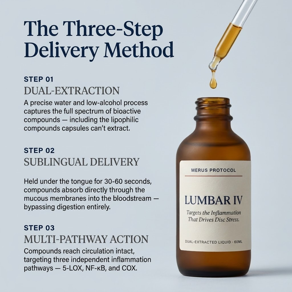 Lumbar IV - Targeted Disc Protocol